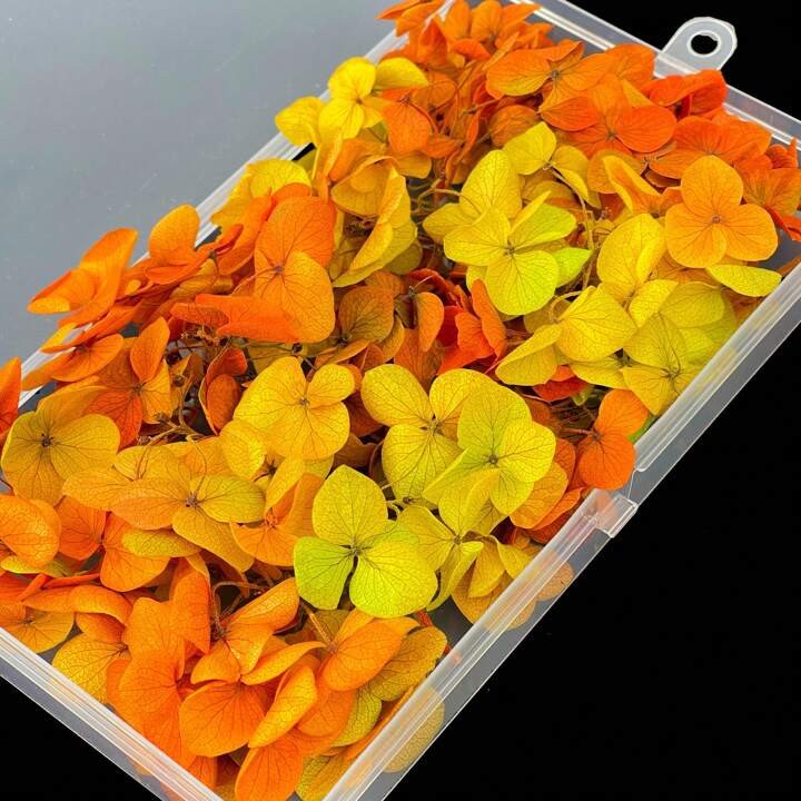 1 صندوق من الزهور المجففة الرائعة ذات الهايدرنجيا متعددة الألوان - مثالية للحرف اليدوية الخاصة، الشموع، الأعراس، الأشغال اليدوية