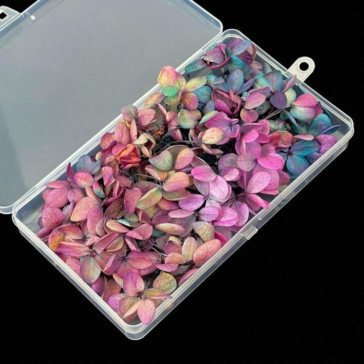 صندوق ورود هايدرنجيا مجففة متعددة الألوان عالية الجودة - مثالي للحرف اليدوية والشموع والأعراس والحرف اليدوية